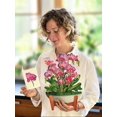 thumbnail image 4 of Tarjeta pop-up Freshcut Paper Orchid Oasis ramo de 30 cm, 4 of 9