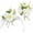Ivory White, variant on ABPETE Corsage & Boutonniere Set,Wedding & Prom Flower Accessories for Bride, Groom, Bridesmaids & Groomsmen, Suit Decor with Wrist Corsage(Ivory White)