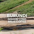 thumbnail image 6 of Volcanica Coffee Burundi Gishubi Long Miles Coffee - 16 oz., Drip Grind, 6 of 6