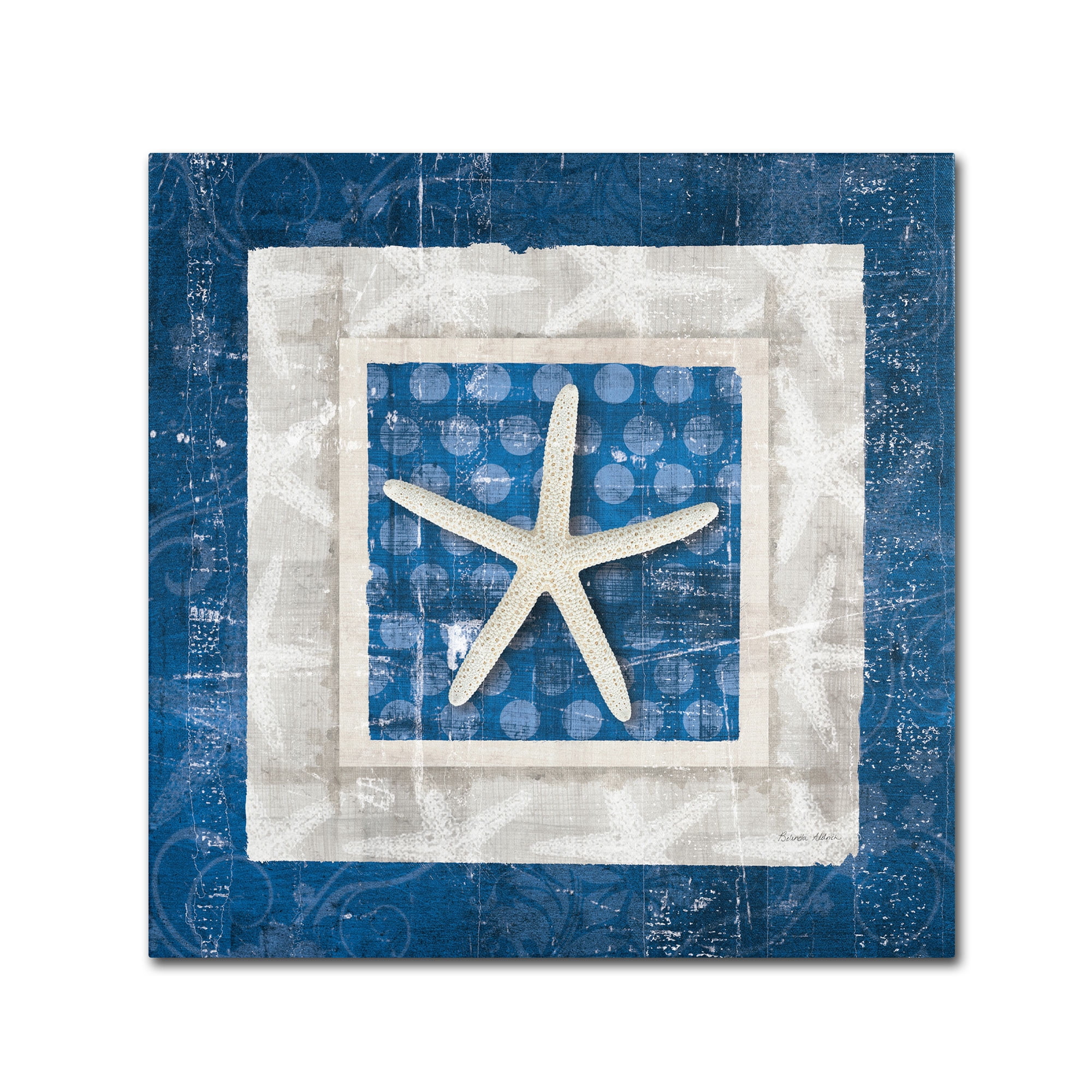 Trademark Fine Art "Sea Shell IV on Blue" Canvas Art by Belinda Aldrich
