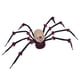 thumbnail image 1 of Escultura decorativa de araña de Halloween con luz de 47 pulgadas con ojos rojos realistas Estilo A, 1 of 9