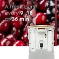 thumbnail image 5 of Glade Automatic Spray Refill, Air Freshener, Cranberry Oh So Merry, 6.2 oz, 5 of 9