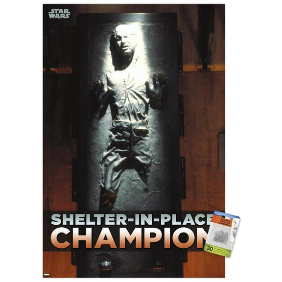 Star Wars: Saga - Han Solo - Shelter In Place Wall Poster with Push Pins, 22.375" x 34"