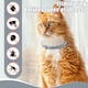 thumbnail image 3 of Cheap!Collar repelente para mascotas, repelente de mosquitos y pulgas ajustable en caja, repelente de garrapatas e insectos, suministros para perros y gatos, 3 of 4