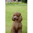 thumbnail image 2 of Hi-Line Gift Ltd Poodle Dog Sitting, 19.09-inch Height, Brown, 2 of 8