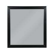 ACME Louis Philippe Wooden Frame Mirror, Multiple Colors
