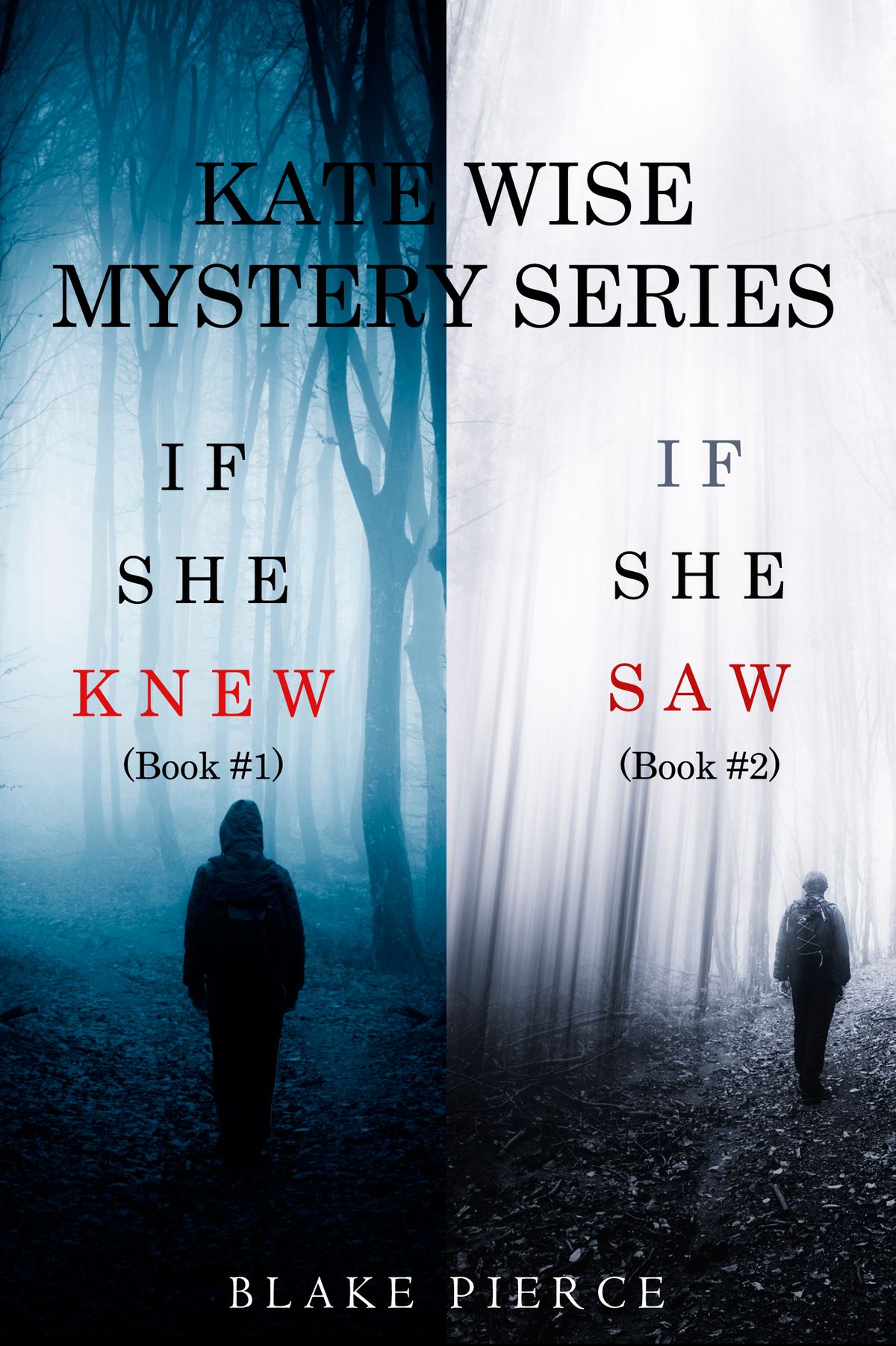 A Kate Wise Mystery Bundle If She Knew 1 And If She Saw 2