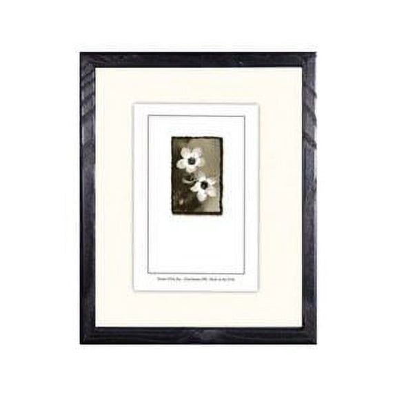 Frame USA Economy Wood Matted Picture Frame 12.125W 2.625H