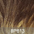 Synthetic Hair Wig Motown Tress Patchy (8P613)