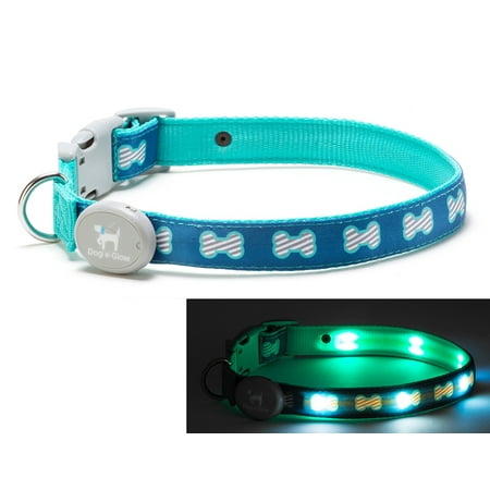 Light Up LED Dog Collar - Patented Light Up Durable Glowing Collar for Puppies and Dogs - by Dog e Glow (Blue Bones, small 8