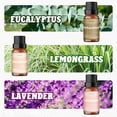 thumbnail image 7 of Aromatherapy Essential Oils Gift Set – 6 x 10ml Scents for Diffusers, Home Fragrance, Relaxation & DIY – Lavender, Peppermint, Orange, Vanilla, Eucalyptus, Lemongrass, 7 of 7