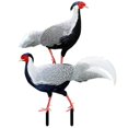 thumbnail image 3 of 2pcs Realistic Acrylic Pheasant Stakes for Lawn Garden Decoration Durable Outdoor Art for Farmhouse Rustic Style, 3 of 5