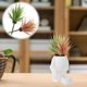 thumbnail image 4 of suculentas artificiales, plantas artificiales de imitación, adornos para oficina y hogar., 4 of 6