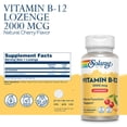 thumbnail image 2 of Suplemento SOLARAY de vitamina B-12 2000 mcg 90 pastillas, 2 of 6
