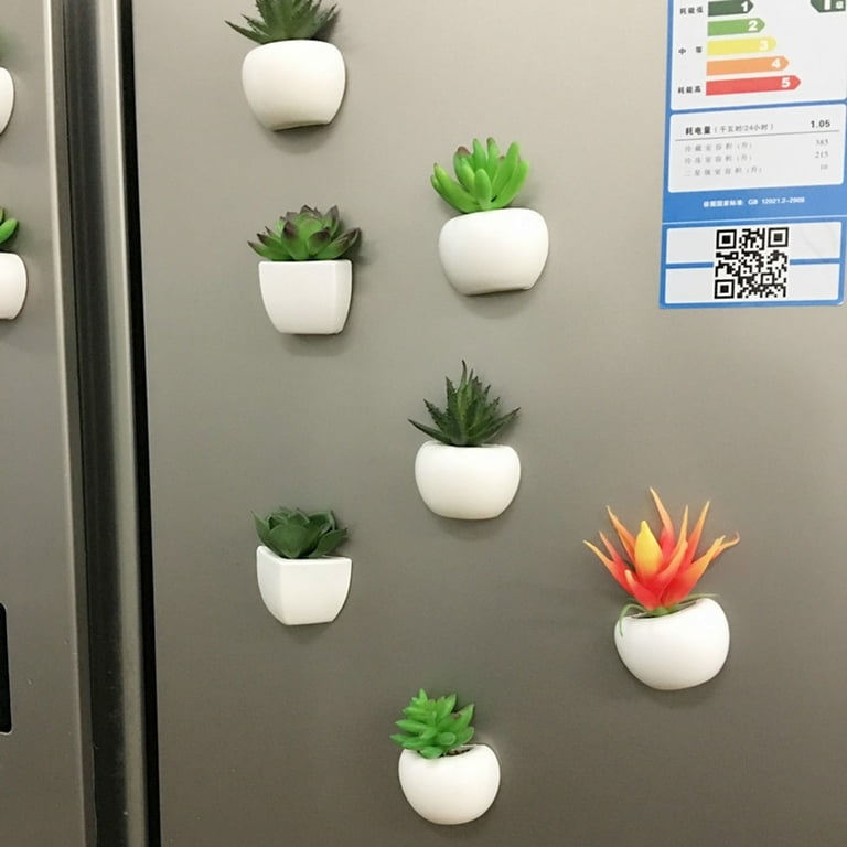 Succulent Shape Refrigerator Magnets Removable Plastic No Scratch  Whiteboard Magnets Kitchen Decor 