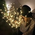 thumbnail image 5 of Simulation branch LED lights rattan lights tree branch lights room bedroom decoration lights string colorful synchronization, 5 of 5