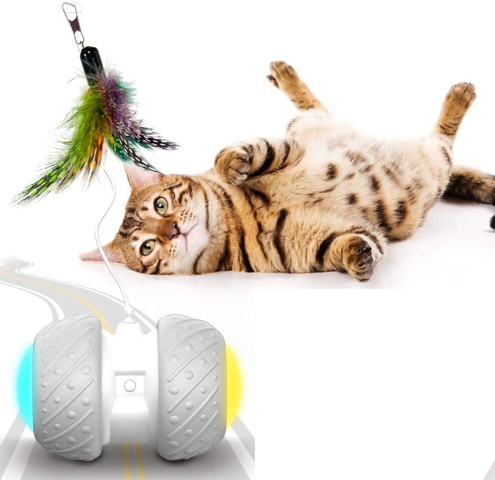 robotic toy cat
