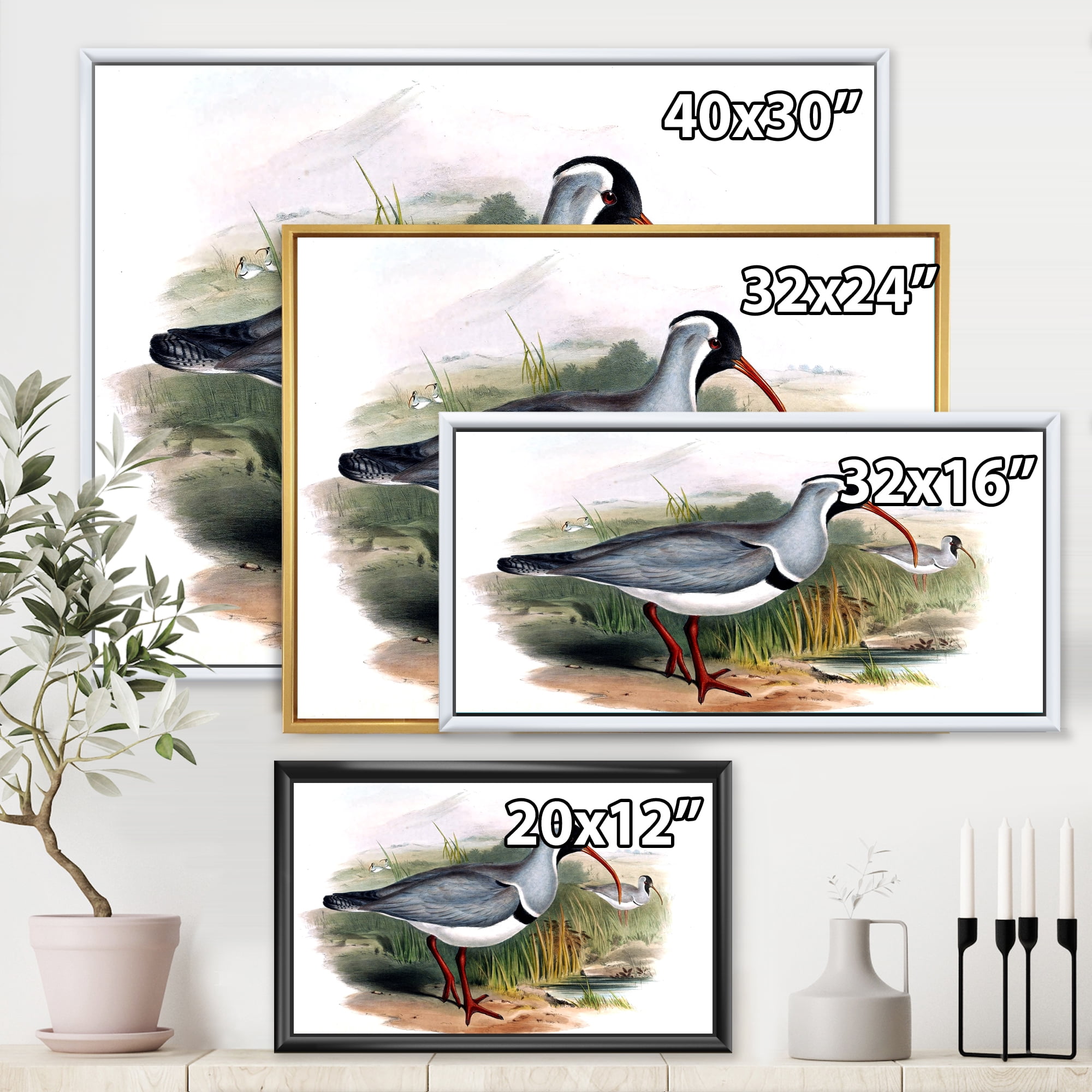Designart 'Vintage Countryside Birds In Wild' Farmhouse Framed Canvas Wall Art Print