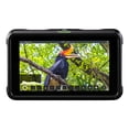 thumbnail image 2 of Monitor Atomos Shinobi HDMI 4K de 5 pulgadas con paquete de accesorios, 2 of 9