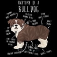 thumbnail image 2 of English Bulldog Shirt, Women, Men, Funny Dog Lover Gift, Cute Brindle Bulldog T-shirt, Pet Tee, Dog Mom, Dog Dad, Dog Anatomy Clothes, 2 of 4