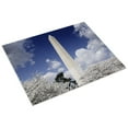 thumbnail image 3 of Print: Washington Monument And Cherry Trees, Washington, D.C., 2007, 3 of 4