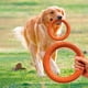 thumbnail image 2 of JUGUETE INTERACTIVO PARA PERROS: este anillo de fitness es adecuado para lanzar, atrapar, buscar juegos, tira y afloja y masticar durante la dentición., 2 of 5