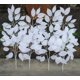 thumbnail image 1 of Una docena de hojas blancas artificiales, Fondo de celebración del Festival de bodas, flor Led de camino para el hogar, flor decorativa Artificial DIY, 1 of 8