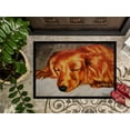 thumbnail image 3 of Carolines Treasures AMB1202JMAT Tapis Intérieur Ou Extérieur Rouge Longhaired Dachshund - 24 x 36, 3 of 4
