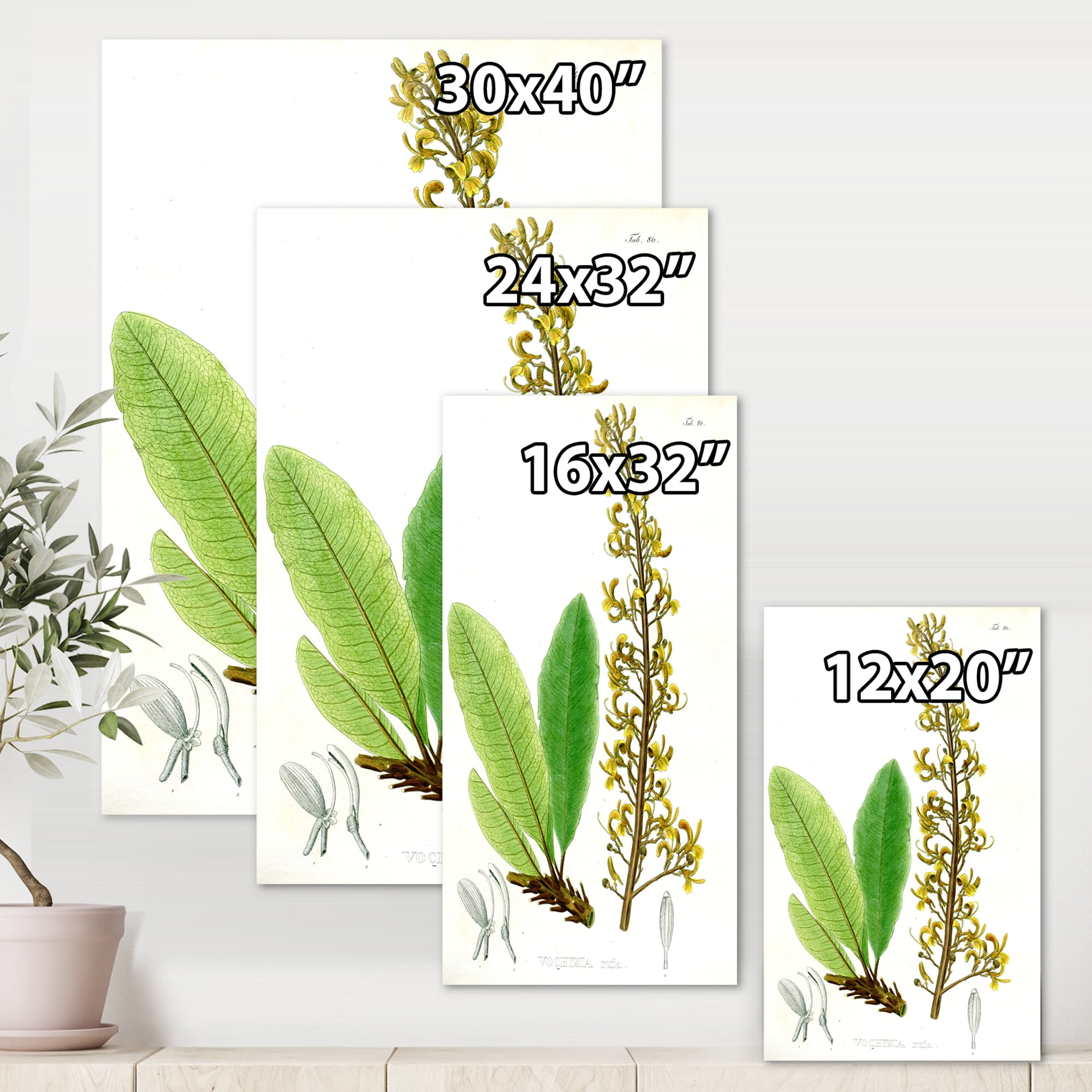 Designart ' Ancient Brazilian Plant IV ' Traditional Canvas Wall Art Print