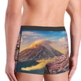 thumbnail image 5 of Kll Fuji Mountain And Cherry Blossoms In Spring Men'S Cotton Boxer Briefs Underwear-Large, 5 of 9