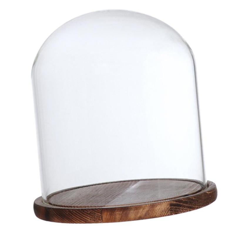 Wooden Glass Dome with Wooden Base Cloche Glass Cover Flower Vase Holder #A 