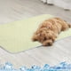 thumbnail image 5 of Alfombrilla refrescante para perros grande 40x50 cm | Almohadilla autoenfriante para mascotas | Alfombrilla de fibra fresca y transpirable para uso interior y exterior | Diseño portátil y ligero, 5 of 8