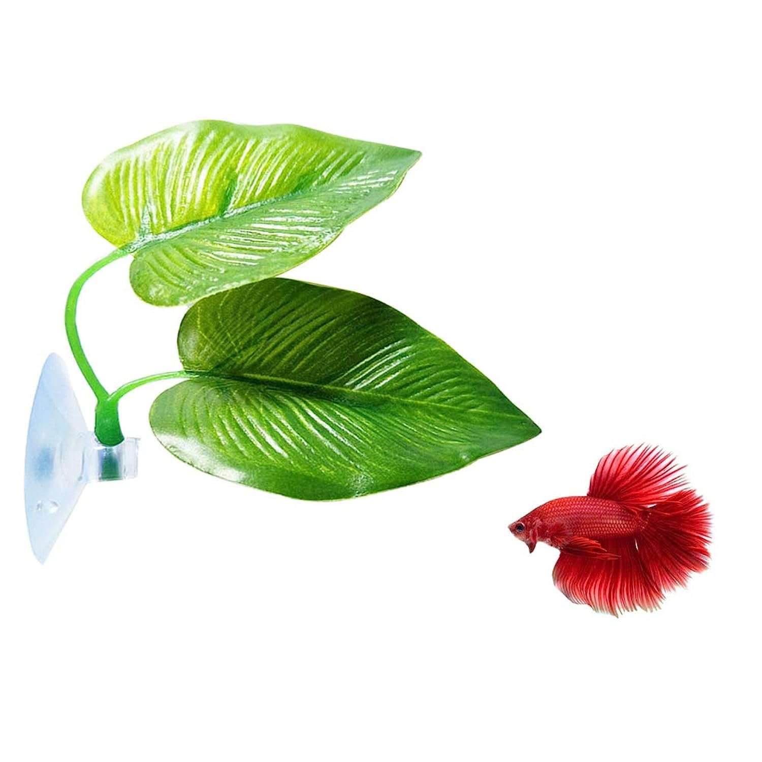 WishLotus Betta Leaf Hängematte – 2 Stück, Mit Saugnapf, Für Aquarien-Dekoration & Fisch-Entspannung