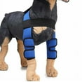 thumbnail image 3 of Housse de Protection pour Chirurgie de Chien, Genouillères, Protège-Jambes, 3 of 5