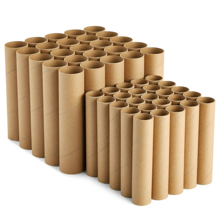 Lot of 54 Empty Brown Cardboard Toilet Paper Tubes for Art & DIY Craft  Projects