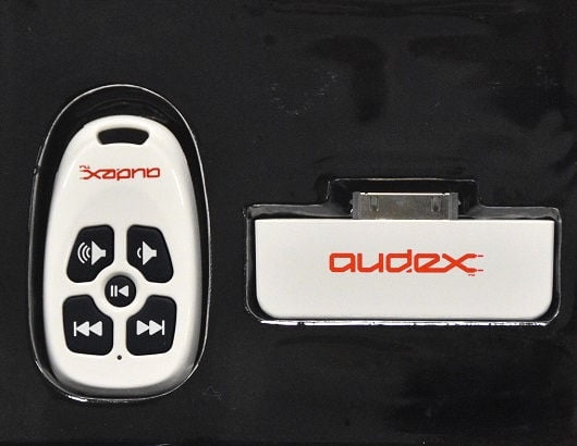 burton audex