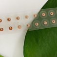 thumbnail image 4 of 200pcs Ear Care Sds Acupcture Auricular Disposable Ear Stiers Patch, 4 of 8
