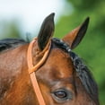 thumbnail image 4 of Schneiders Rolled One Ear Quick Change Buckle Headstall | Color Light Oil | Large Horse, 4 of 4