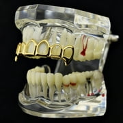 14k Gold Plated 6 Open Face Fang Grillz Six Tooth Top Row Upper Teeth Hollow Hip Hop Vampire Grills