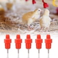 thumbnail image 4 of Automaticales de Pollo Auticó de Aves de Pollo Alimentadores de Bebedor 100pcs Para Pollo Ganso Pato Fácil Limpio Rojo, 4 of 7