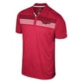 thumbnail image 2 of Men's Colosseum Cardinal Arkansas Razorbacks Big & Tall Langmore Polo, 2 of 3
