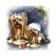 thumbnail image 1 of 5D DIY diamante pintura Navidad perros completo cuadrado dibujo decoración del hogar regalo Tmvgtek decoración de arte en el hogar, 1 of 9