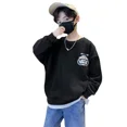 thumbnail image 5 of Sudadera de primavera para niños, sudaderas con capucha y sudaderas de estilo informal, nuevo modelo 2024, ropa para niños para niños medianos y grandes, TopTrendy, 5 of 5