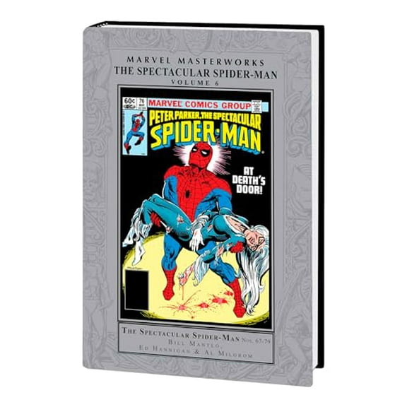 Marvel Masterworks: The Spectacular Spider-Man Vol. 6 (Hardcover)