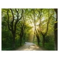 thumbnail image 2 of Evening in Green Forest - Landscape Canvas Art Print, 2 of 3