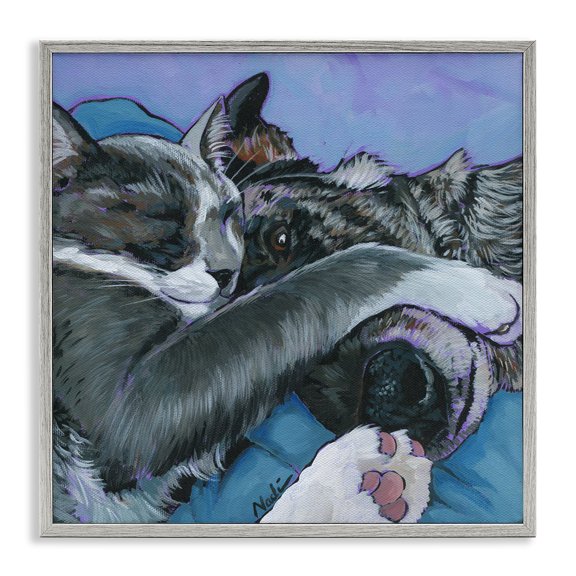 Stupell Industries Eclectic Cat & Dog Sleeping Gray Framed Giclee Art, 17 x 17, by Nadi Spencer