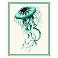 thumbnail image 2 of Fab Funky 20x24 Black Ornate Wood Framed with Double Matting Museum Art Print Titled - Mixed Nautical Green on Cream c, 2 of 4