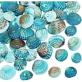 thumbnail image 6 of 50~56pcs Dyed Natural Conch Shell Beads Drilled Tiny Scallop Sea Shells Ocean Beach Seashells Craft Charms for Candle Making Home Decoration Party Wedding Decor Mixed Colors diy, 6 of 9