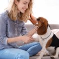 thumbnail image 6 of Dog Mouth Guard, Anti Bite Duck Mouth Shape Dog Mouth Covers,Soft Duck Silicone Mouth Cover with Adjustable Strap,Small Medium Dogs Muzzle Masks Best for Prevent Barking,Biting,Chewing, 6 of 6