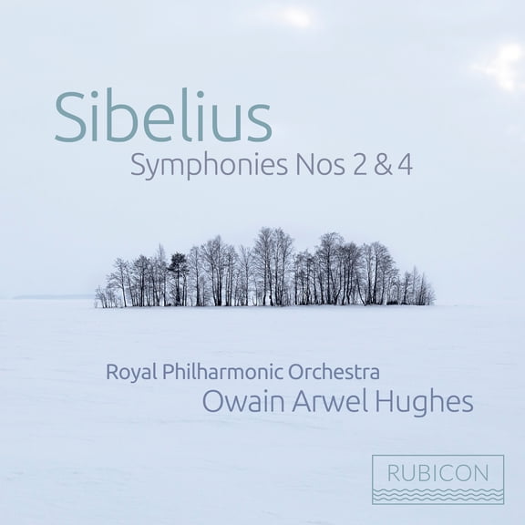 Royal Philharmonic Orchestra / Owain Arwel Hughes - Sibelius: Symphonies Nos. 2 & 4 - Music & Performance - CD